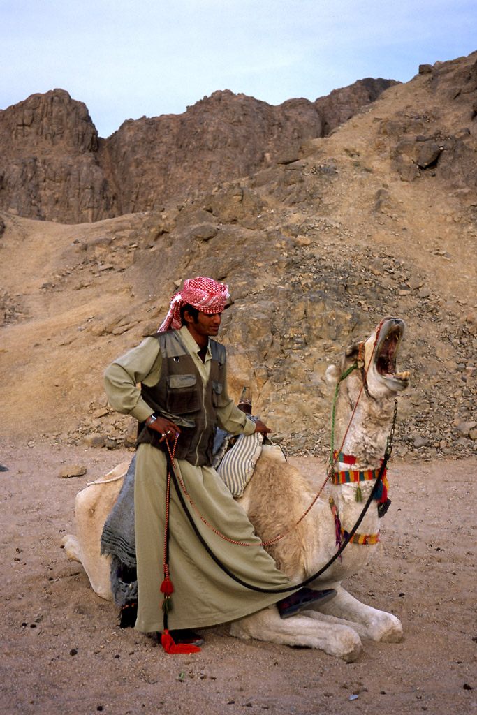 Egypt - v Beduinske vesnici